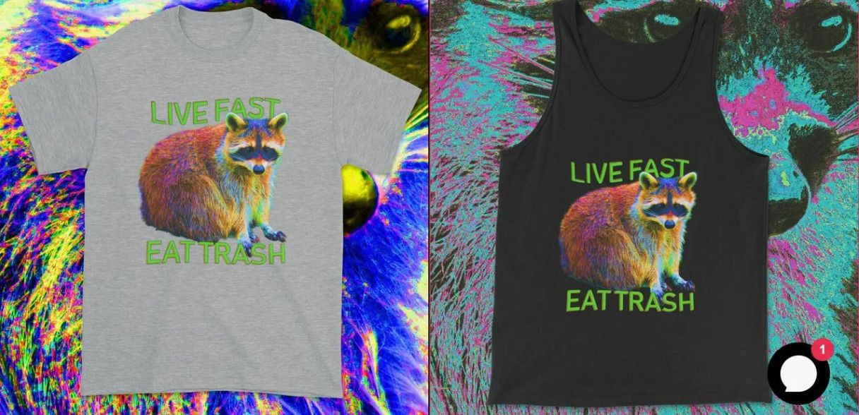 a grey and black shirt with a raccoon on it